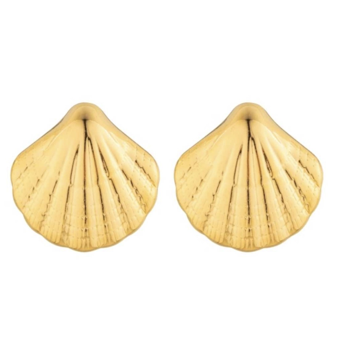 Oorbellen Shell maxi